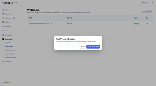 Copperx
			           ux ui design