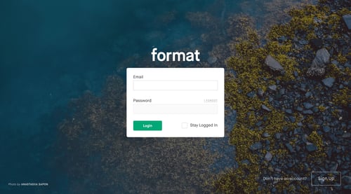 Format
				signin page example