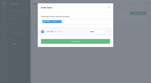 Litmus
				team page example
