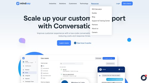 Mindsay
			      ux ui design