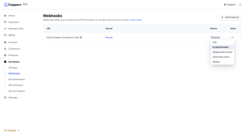 Copperx
			         ux ui design