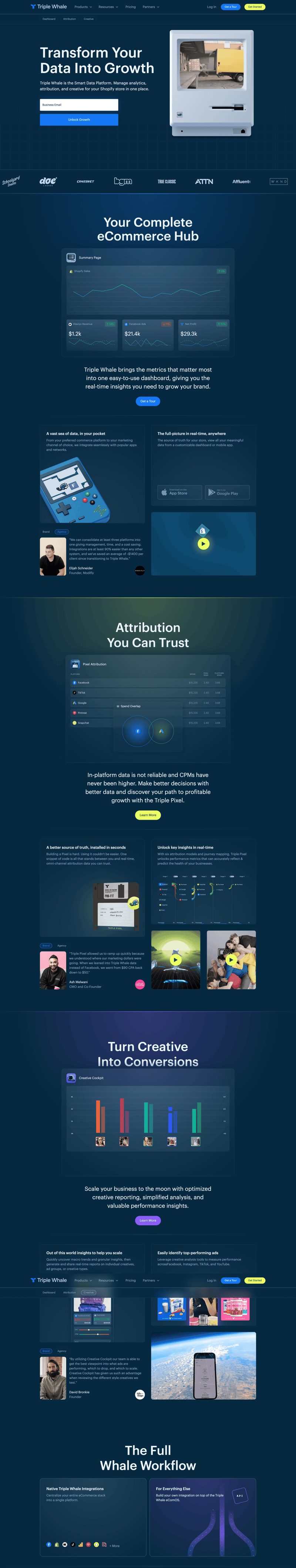 Triple Whale
			  ux ui design