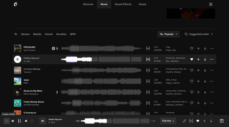 Epidemic Sound
			       ux ui design