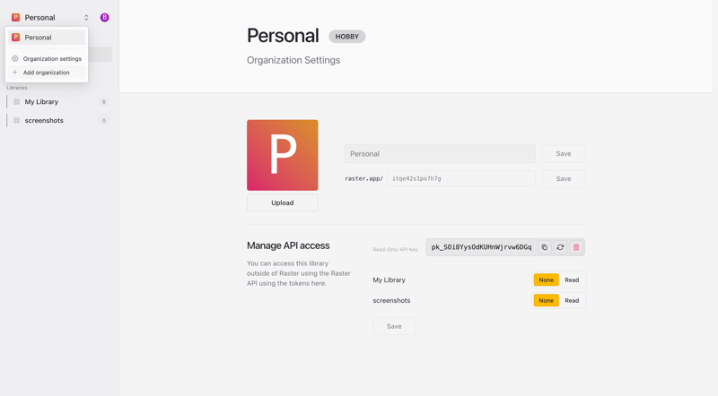Raster
			           ux ui design