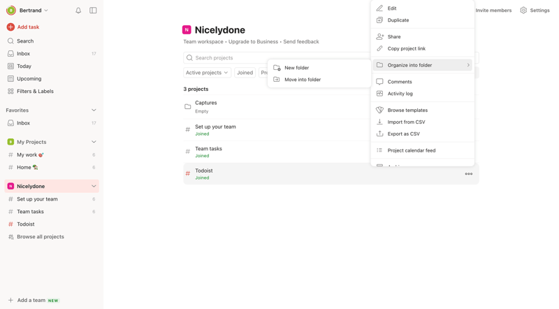 Todoist
			          ux ui design
