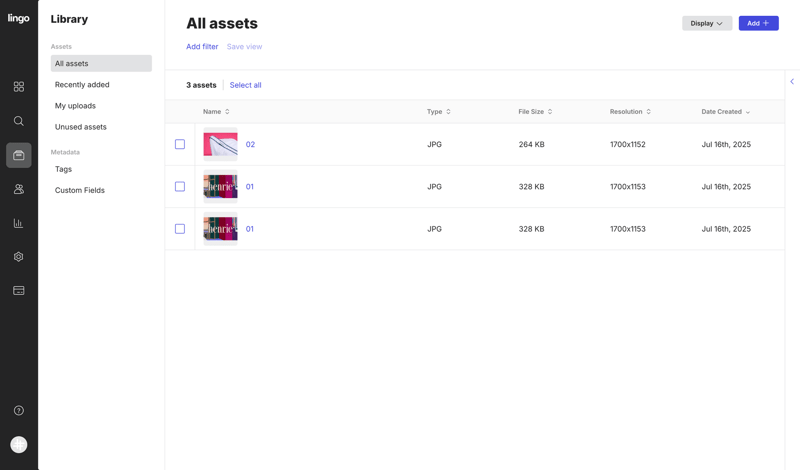 Lingo
			    ux ui design