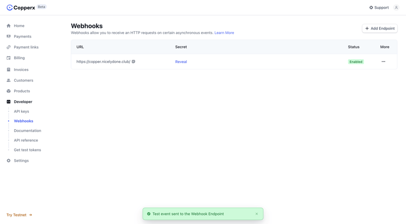 Copperx
			          ux ui design