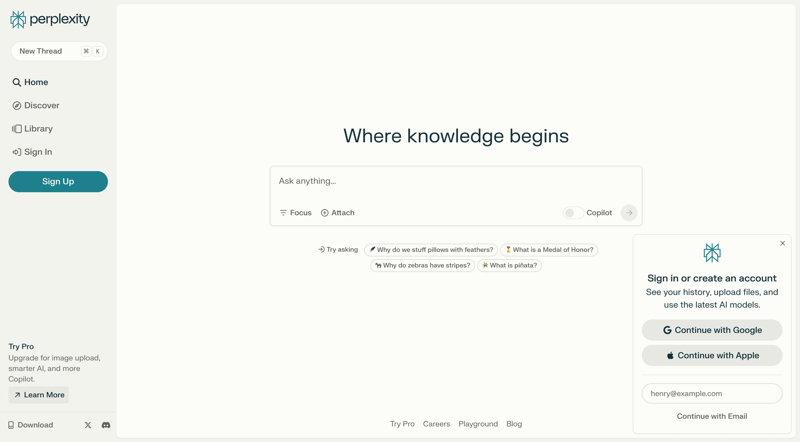 Perplexity
				 page example