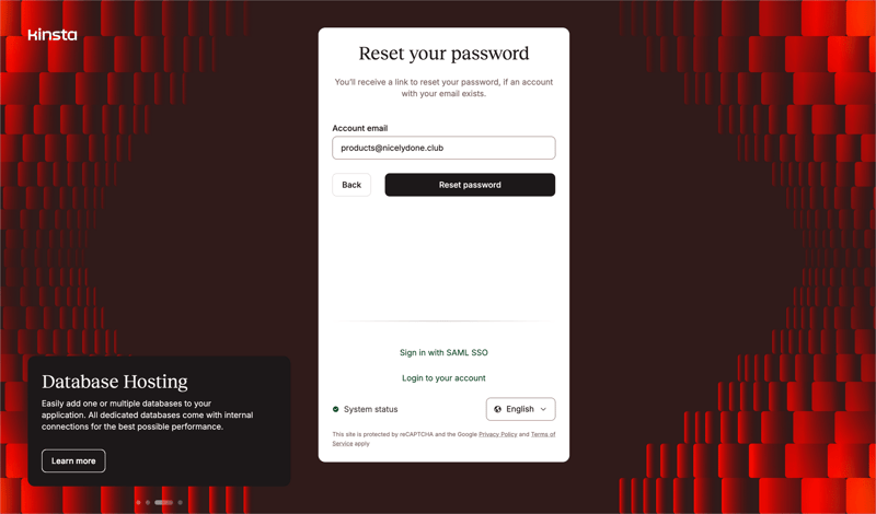 Kinsta screen example