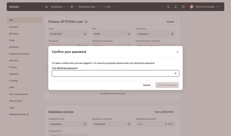 Kinsta screen example