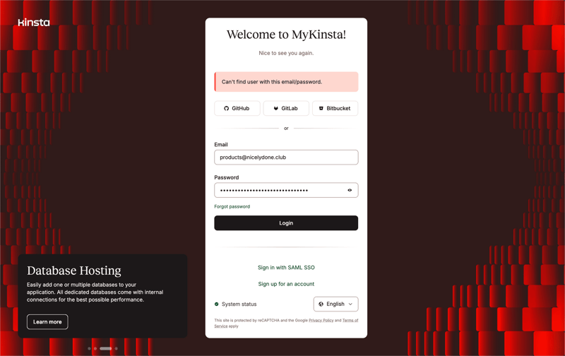 Kinsta screen example