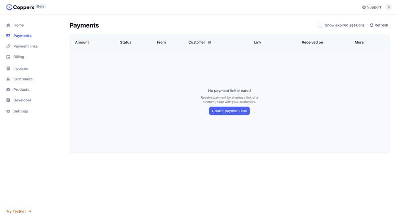 Copperx
			       ux ui design