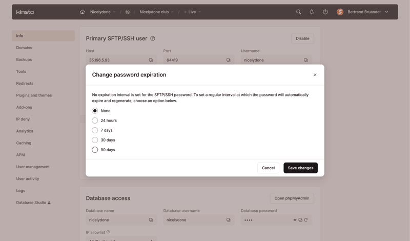 Kinsta screen example