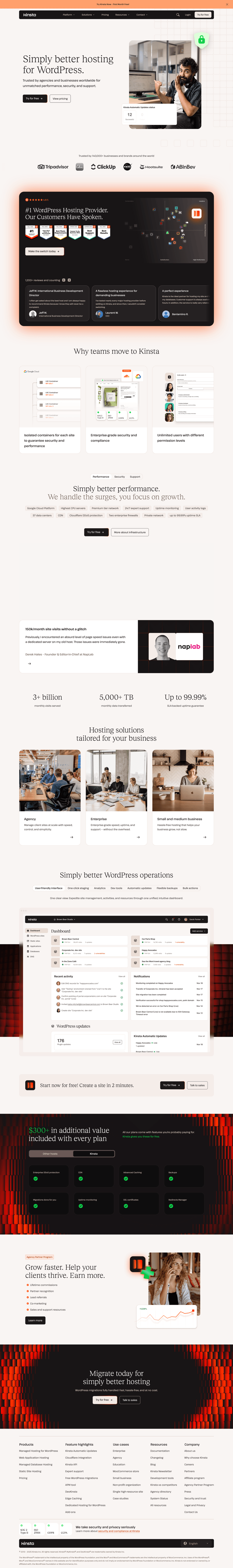 Kinsta screen example