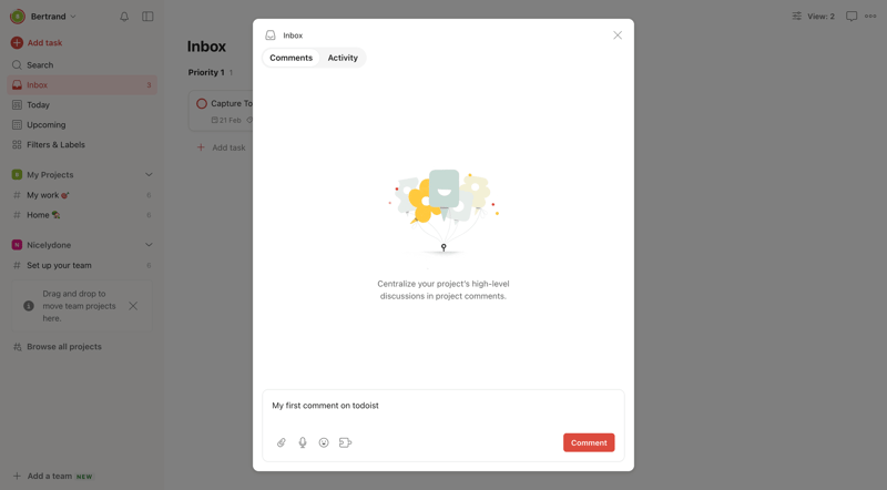 Todoist
			              ux ui design