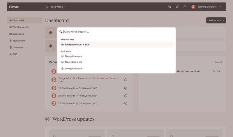 Kinsta screen example