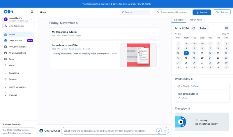 Otter
			                ux ui design