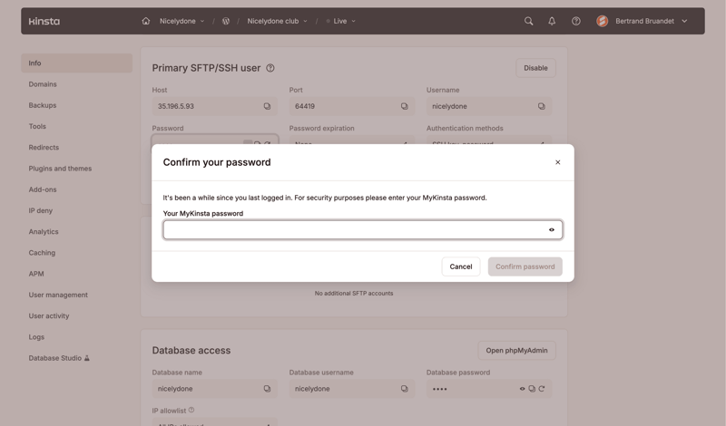 Kinsta screen example