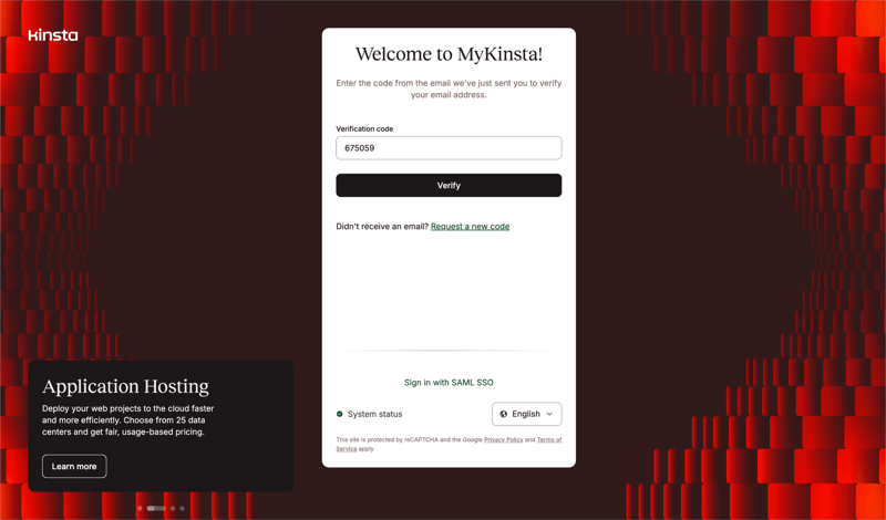 Kinsta screen example