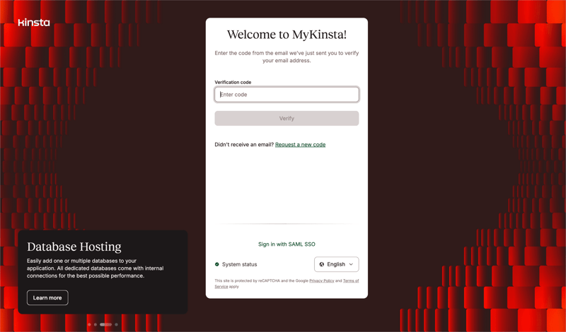 Kinsta screen example