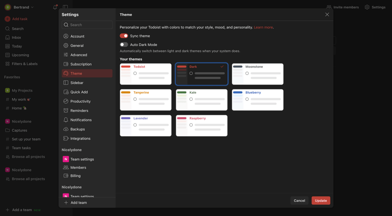 Todoist
			      ux ui design