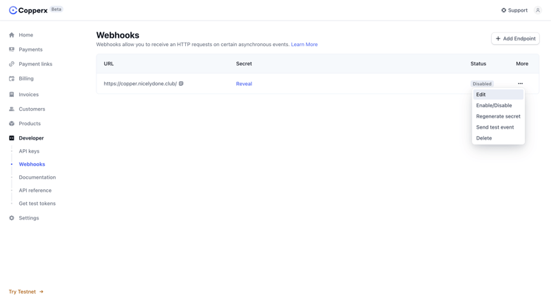 Copperx
			         ux ui design