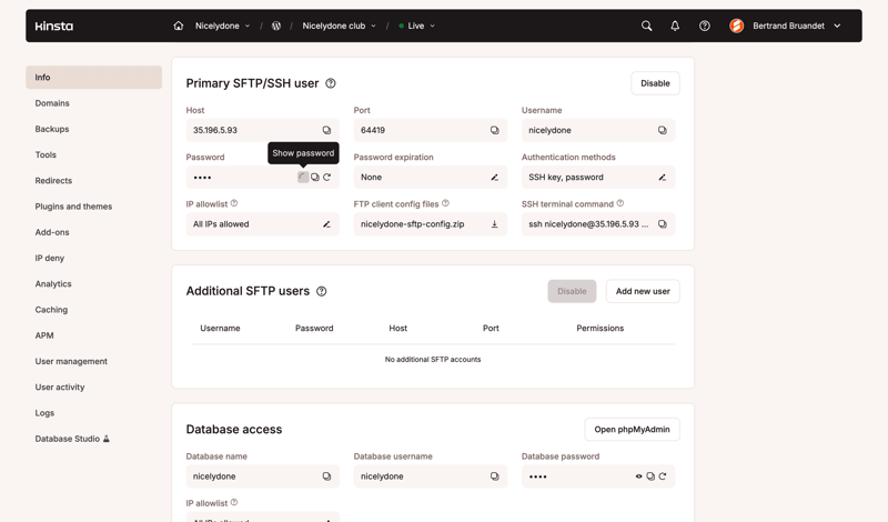 Kinsta screen example