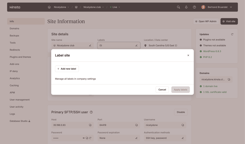 Kinsta screen example