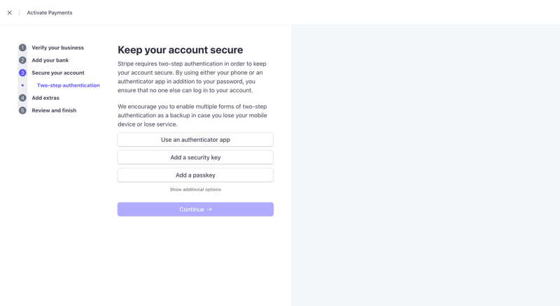 Stripe
			           ux ui design