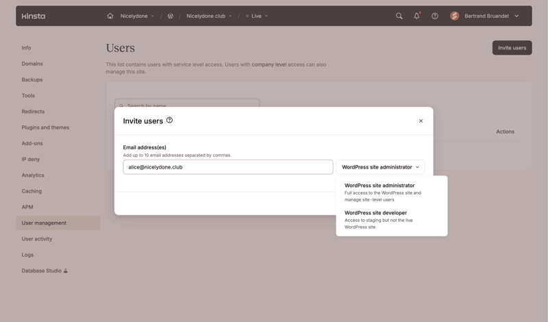 Kinsta screen example