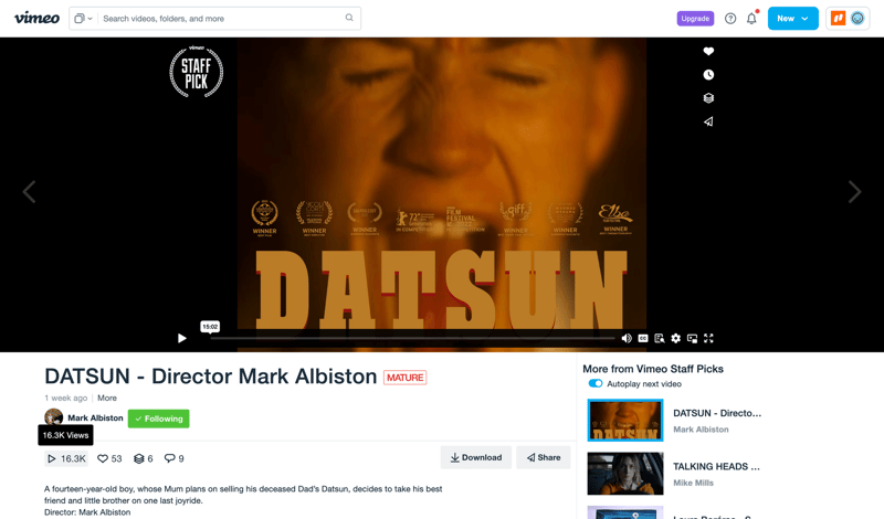 Vimeo screen example