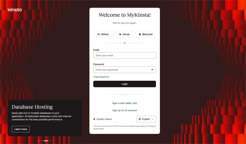 Kinsta screen example