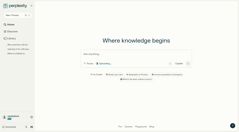 Perplexity
			               ux ui design