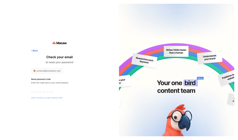 Macaw
			             ux ui design
