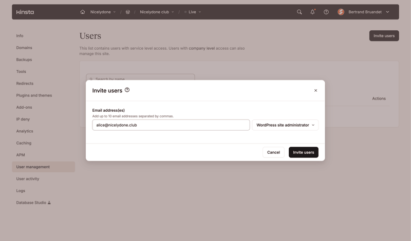 Kinsta screen example