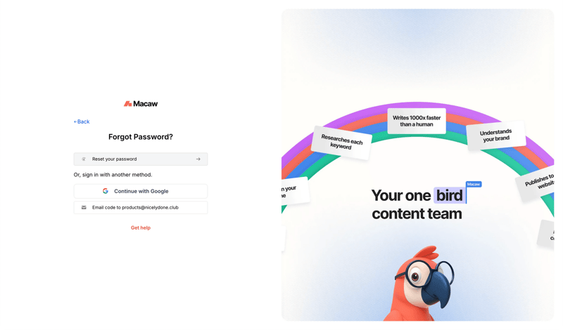 Macaw
			           ux ui design