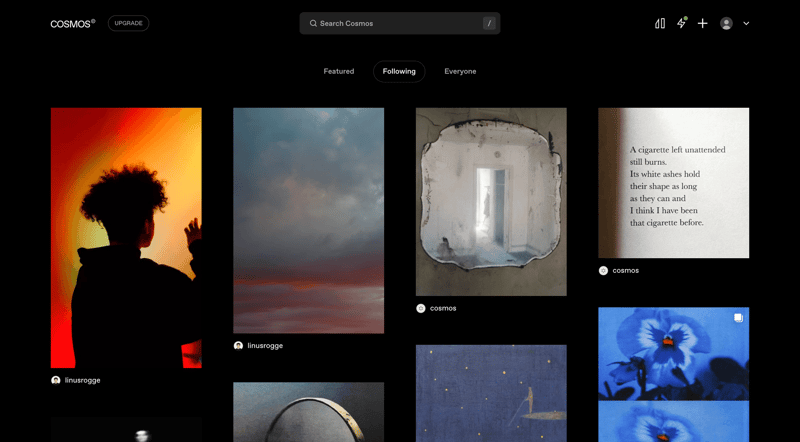 Cosmos
			          ux ui design