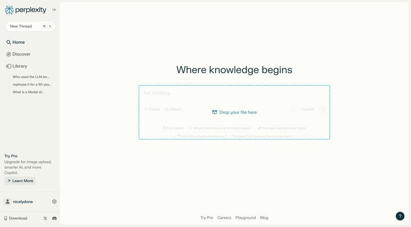 Perplexity
			                    ux ui design