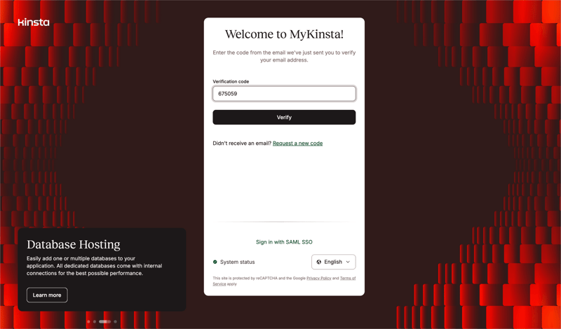 Kinsta screen example