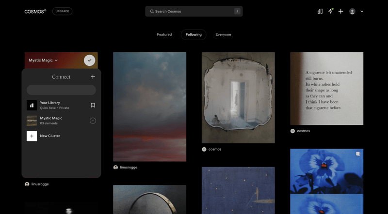 Cosmos
			           ux ui design