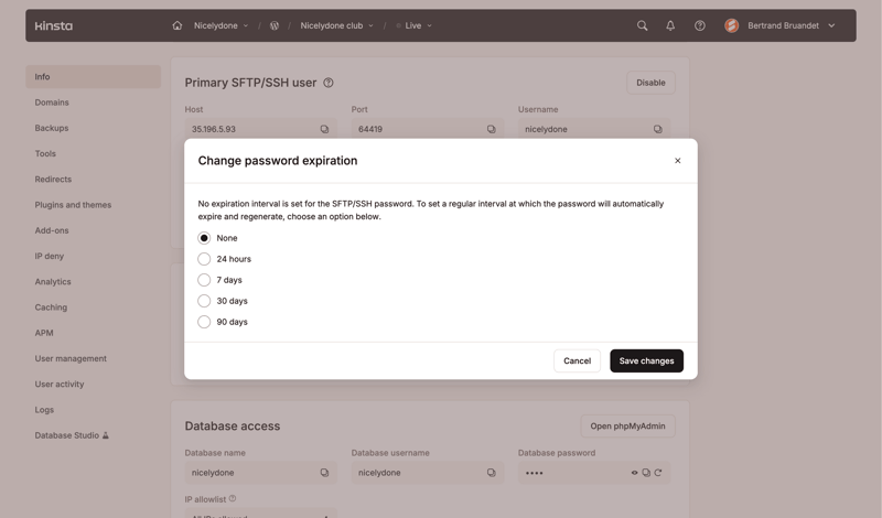 Kinsta screen example