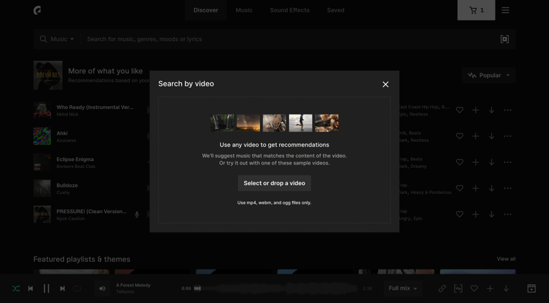 Epidemic Sound
			     ux ui design
