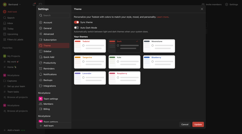 Todoist
			     ux ui design