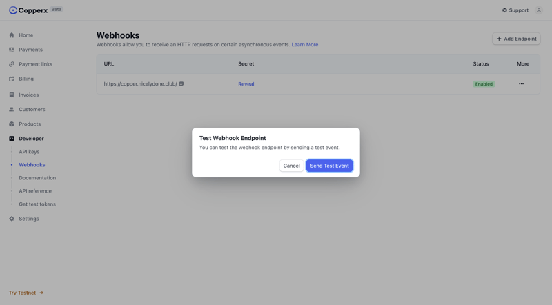 Copperx
			           ux ui design