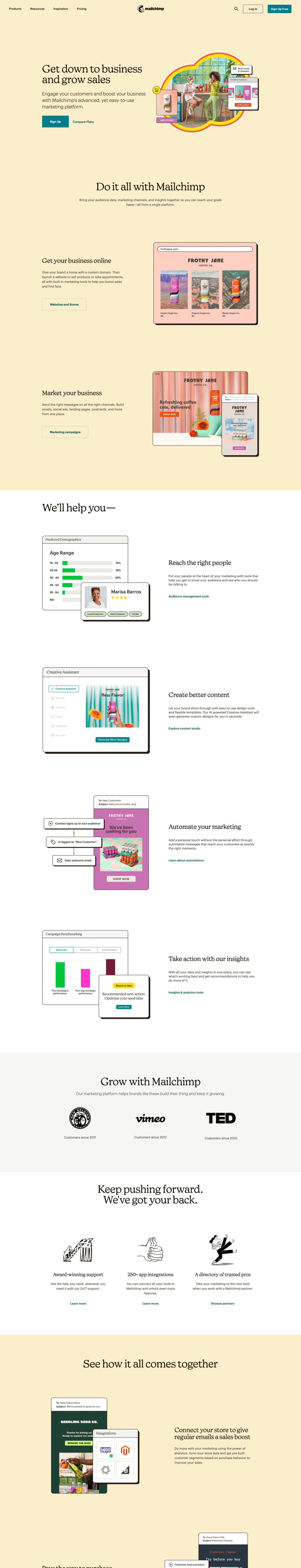 Mailchimp
page example