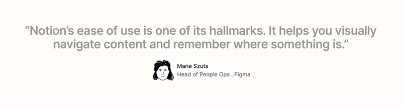 Notion
				testimonial ui component