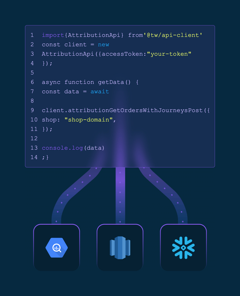 Triple Whale
				illustration ui component