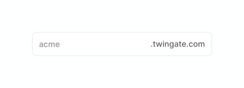 Twingate
				input text ui component