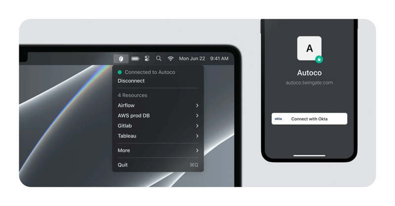 Twingate
				illustration ui component