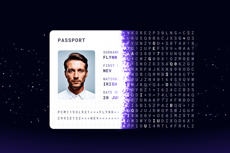 Evervault
				illustration ui component